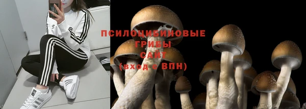 ALPHA PVP Новокубанск