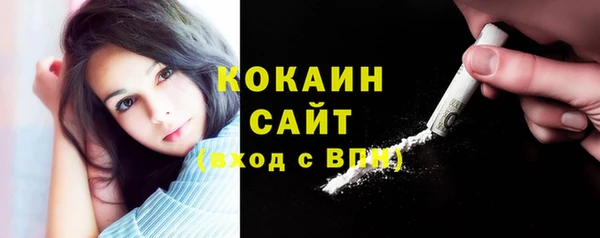 бошки Новозыбков
