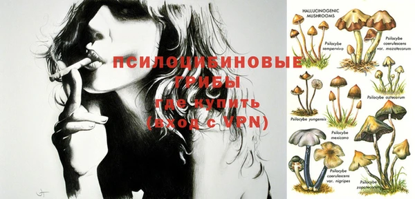бошки Новозыбков