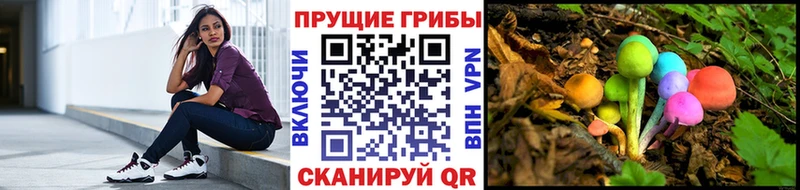 Псилоцибиновые грибы MAGIC MUSHROOMS  omg зеркало  Фролово 