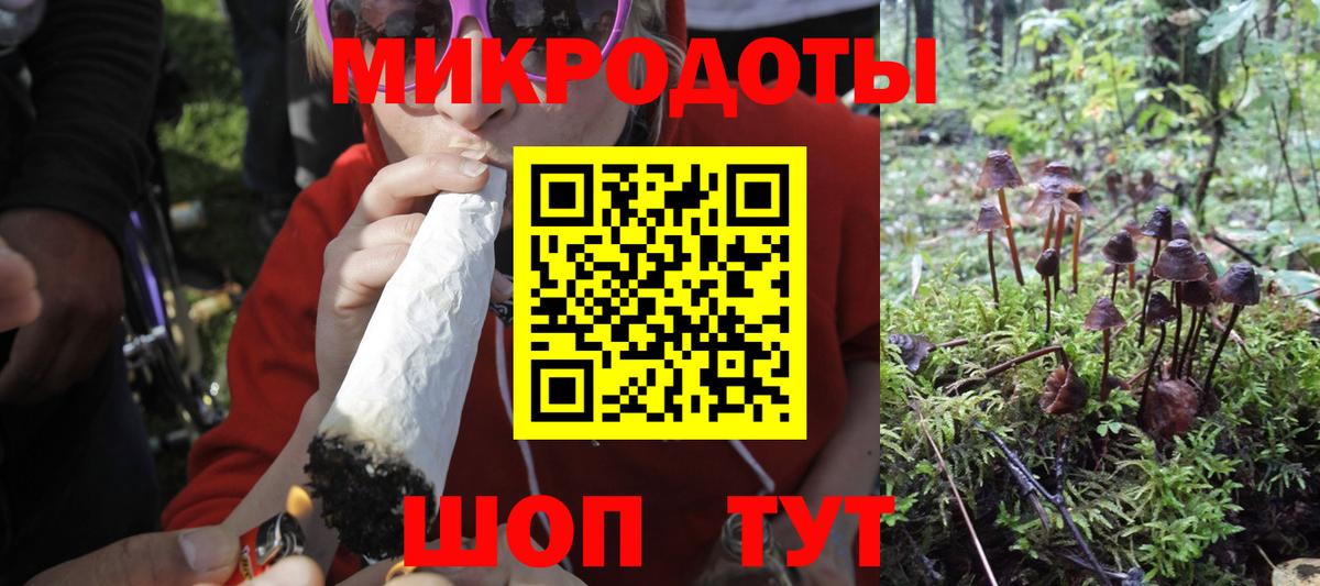 Фролово  что такое   Вход с VPN  Псилоцибиновые грибы Psilocybe 