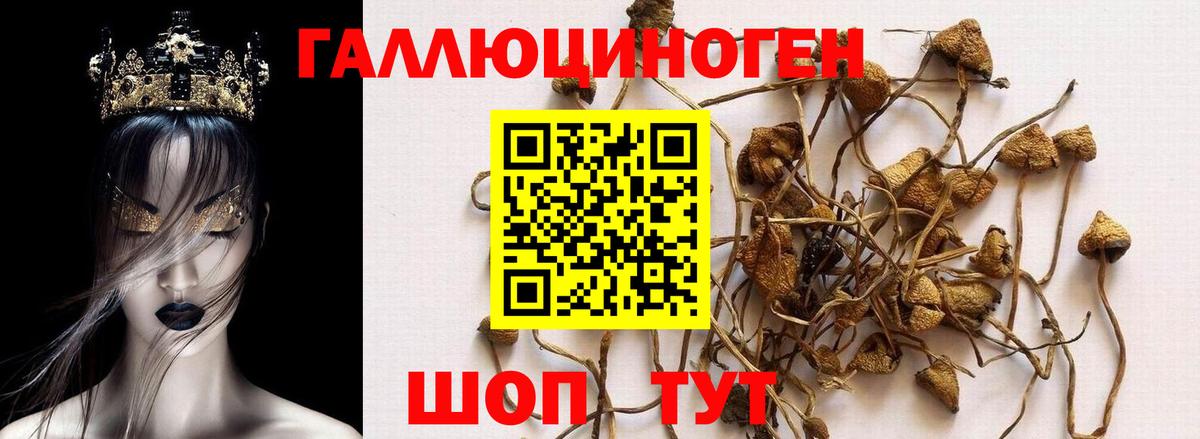 Псилоцибиновые грибы ЛСД Фролово